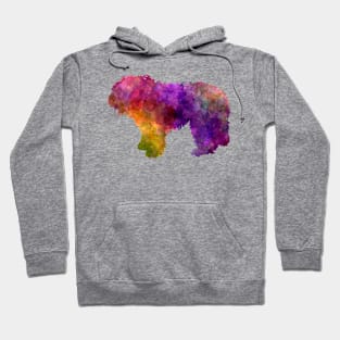 South Russian Shepherd Dog in watercolor Hoodie